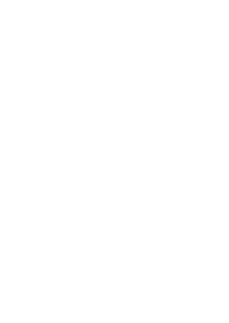 Scandinavia Studio